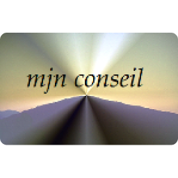 logo mjn conseil
